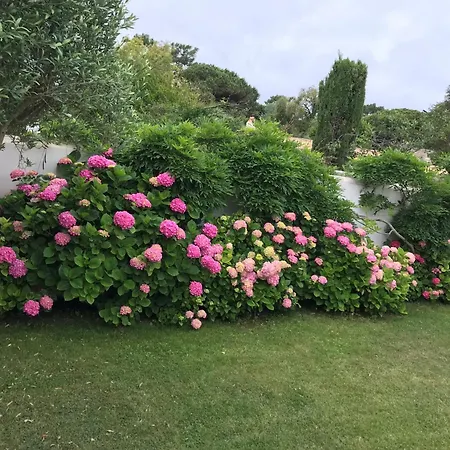 Charming And Tranquil In Portes En Re - 5 Bed فيلة