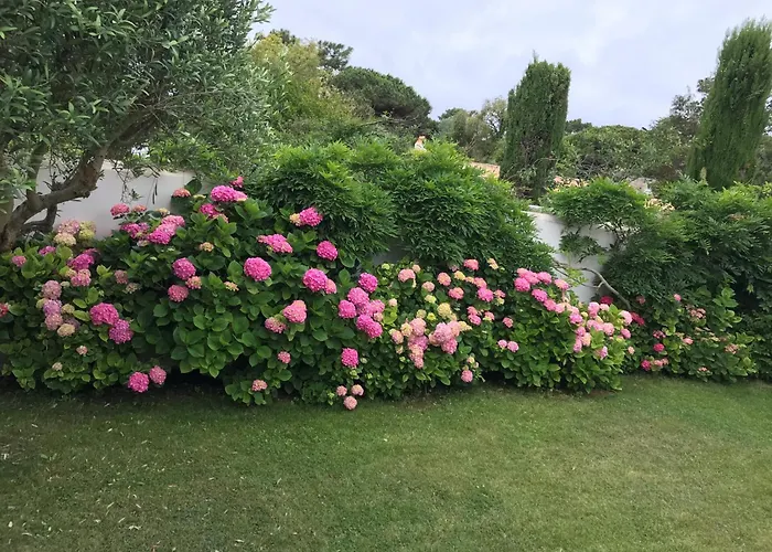 Charming And Tranquil In Portes En Re - 5 Bed فيلة